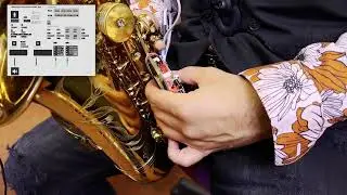 Music for HASGS - Study 1b, Henrique Portovedo