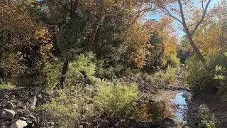 Discover Arizona's Yosemite: Cave Creek and Portal AZ