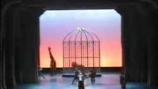 L'Italiana in Algeri-Languir per una bella- Michele Angelini