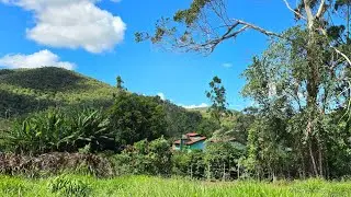 ✨️ FAZENDA ESPETACULAR OTIMA PRA CAFÉ ARABICA E CRIAÇÃO DE GADOS ✨️