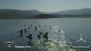 Extremadura Drone