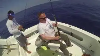 Operation Sailfish 2015