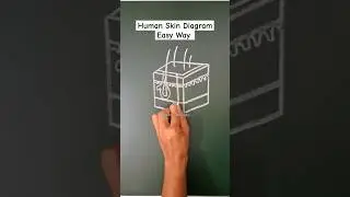 how to draw skin diagram easily #skin #humanskin #diagram #shorts #ytshorts #drawingwithsahil