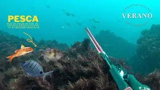 PESCA VARIADA de Verano CANTABRIA 2024