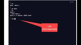 C Programming Skills Using Replit: CLI Intro