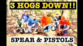 Wild Feral Hog Hunt in Florida! (CHARGED BY WILD HOG!)