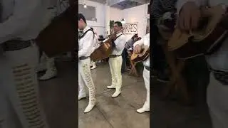 Mariachi Toca accordion en plena fiesta