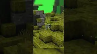 На чьей вы стороне? #minecraft #smp