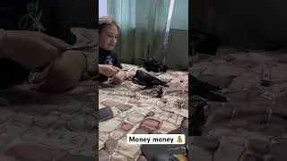 Money crow 🐦&zwj;⬛ 🤩