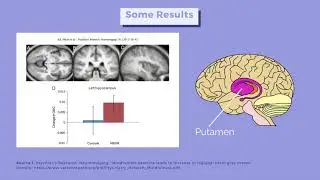 The Effects of Mindfulness on the Neurobiological and Psychological Functioning of College Students