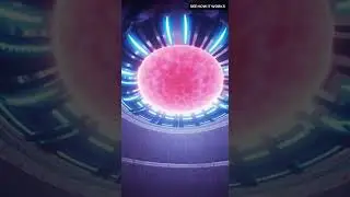 Tokamak Reactor EXPLAINED: Engineering the Sun for Unlimited Clean Energy (3D Fusion)