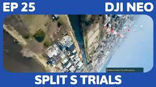 DJI Neo | Split S Trials | Black Kite (not a Falcon) Encounter | Daily Practice