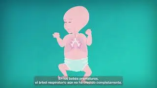 6   How do our lungs work (Spanish)