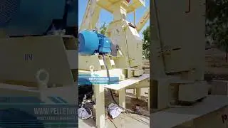 Biomass Pellet Plant Production Line for Napier Grass,Mustard Stalk and Cotton Stalk #biomasspellet