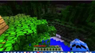 disco creeper