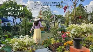 Garden reality in JANUARY, my struggle in creating a winter garden / The truth of doing  what I love