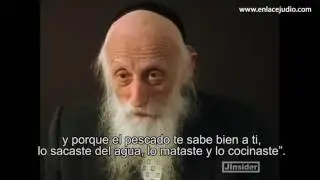 Rab. Twersky: El amor verdadero