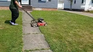 Basic Lawn Mowing 👌 