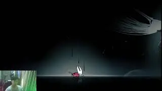 Text LIVE Hollow Knight