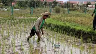 The living farm of laos
