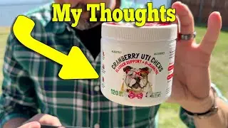 Fix Your Dog's UTI Problems with these Cranberry Chews