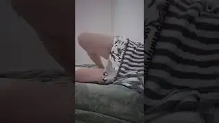 sleeping stream night wake up yoga blanket stretching members join new