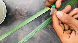 Come on, let's make a rune pill | එන්න අපි රූං පෙත්තක් හදමු | රූං පෙත්ත | #coconutleaves #handwork 