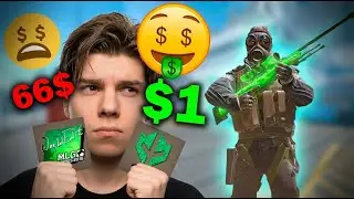 These Cheap Stickers Look INSANE On AWP!