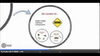 The DiSC Profile - High C