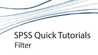 SPSS Quick Tutorials [D] - Filter