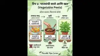 घरातील जुन्या वस्तू फेकून देताय? 🌿मग हा व्हिडिओ नक्की पहा! | Best Out of Waste in Marathi✨