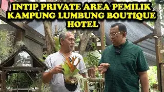 INTIP KOLEKSI PLATYCERIUM DI PRIVATE AREA KAMPUNG LUMBUNG | PART 2
