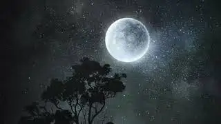 Most Dark Music Ever: Lunar Soul by Greg Dombrowski (Secession Studios)
