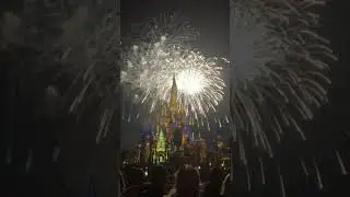 Disney world