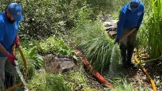 Martin Pond Cleaning