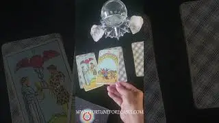 Four Card Spread 🔮 Tarot and Oracle Reading