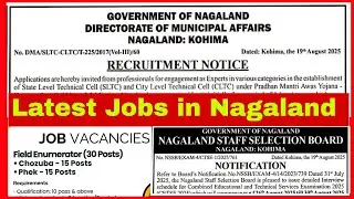 Latest Private and Government jobs Vacancies in Nagaland  20 August 2025