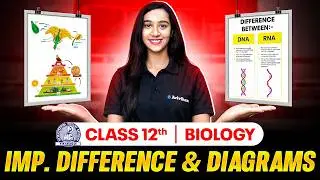 MP Board Class 12 Biology All Important Differences Between Question💪🔥#boardexam2026 #question #exam
