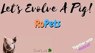Evolving a Pig and hatching an Egg in 🦊RoPets!🦊 (Together with momcat!)