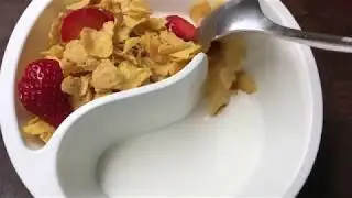 Obol - Never Eat Soggy Cereal Again