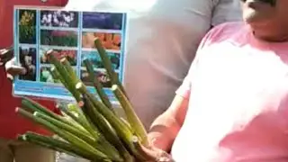 जलपर्णी ही सर्वात जास्त घातक वनस्पती 👆.   कोणीही घेऊ नये