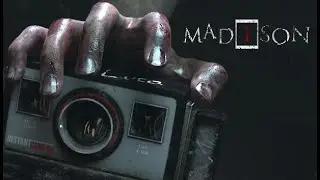MADiSON 1/2