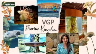 VGP Marine Kingdom Chennai 🐬 - India's 1st Underwater Aquarium | Perfect Weekend trip #puthuyugamtv