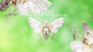 Lift Bliss - Base // Axiom