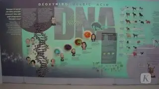 Museum Manusia Purba Sangiran