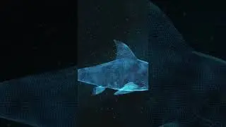 10 Jaw Dropping Facts About Sharks!