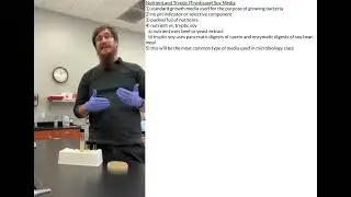 Nutrient and Tryptic (Trypticase) Soy Media