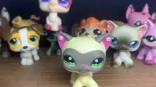 MINHA COLE&Ccedil;&Atilde;O DE LPS 2026!!!