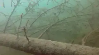 Kochelsee...Bitte Müll wegräumen   Andrés Tauchvideos