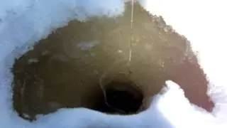 MOV01996